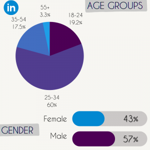 LinkedIn site demographics