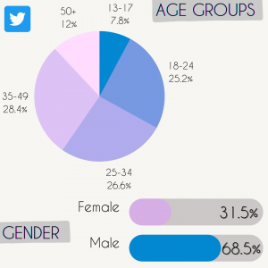 Twitter social media statistics