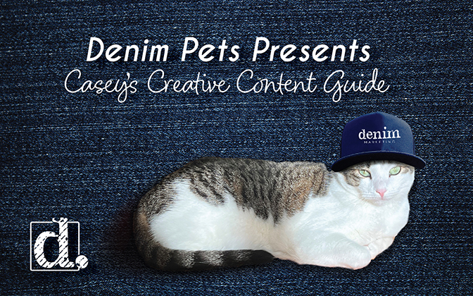 Denim Marketing Creative Content Expert Casey Shares Content Tips