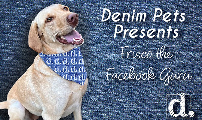 Frisco's Four Tips for Getting the Most Out of Facebook