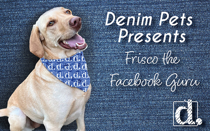 Frisco's Four Tips for Getting the Most Out of Facebook