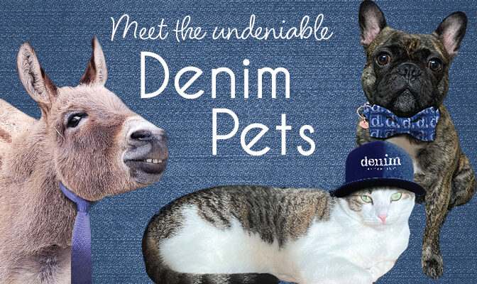 denim pets marketing guidebook